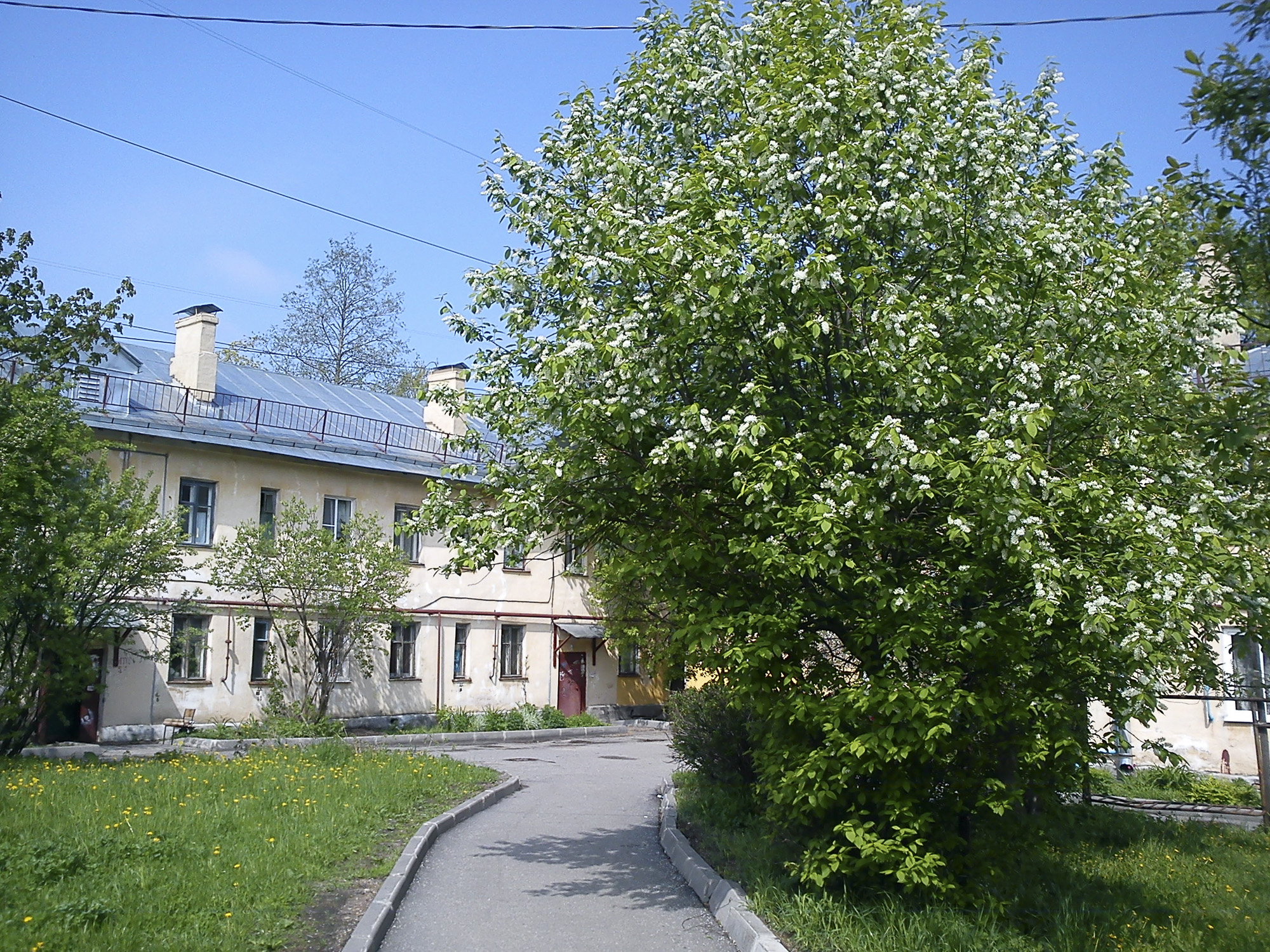 Город Ломоносов, фото 97