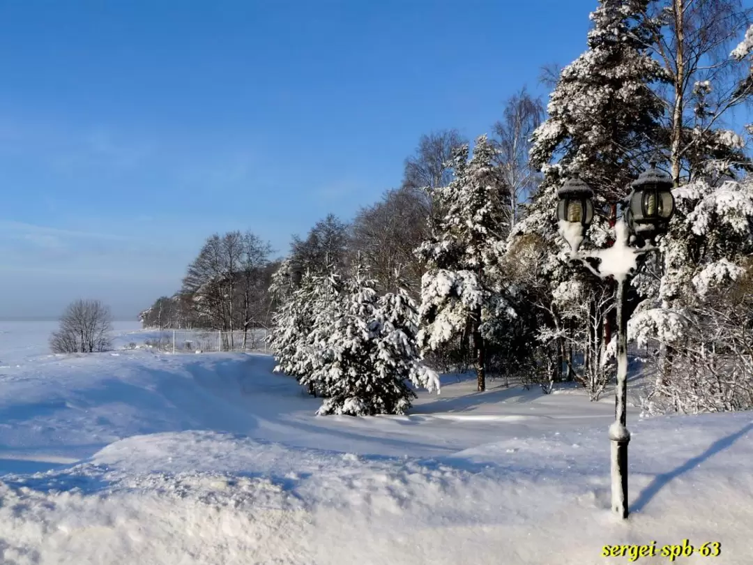 Комарово
