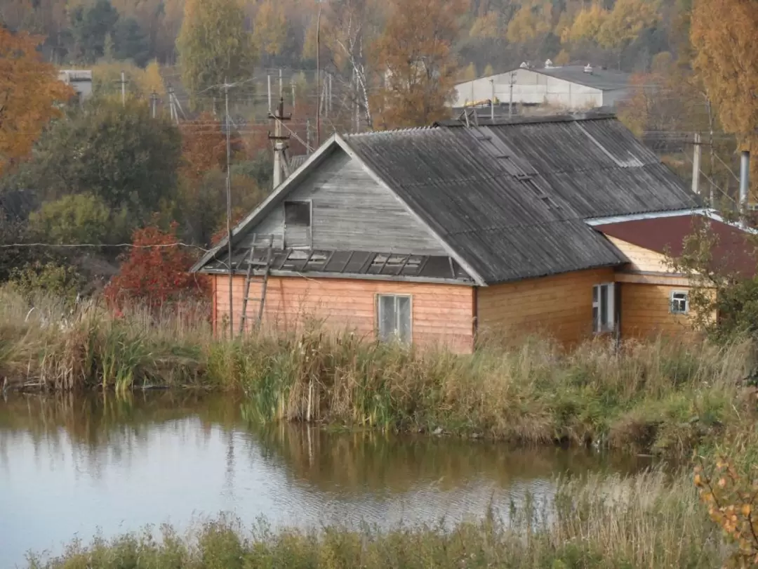 В. Бронна. У пруда