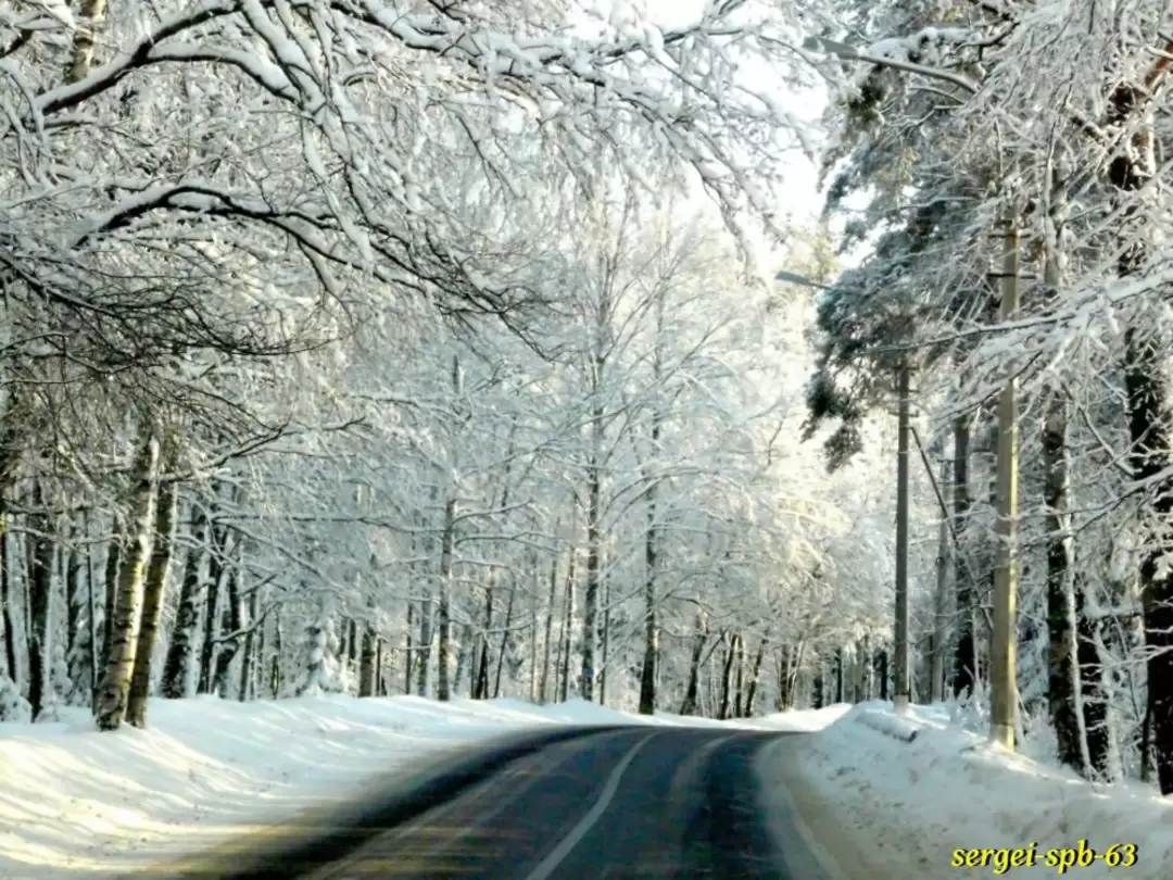 Зеленогорск