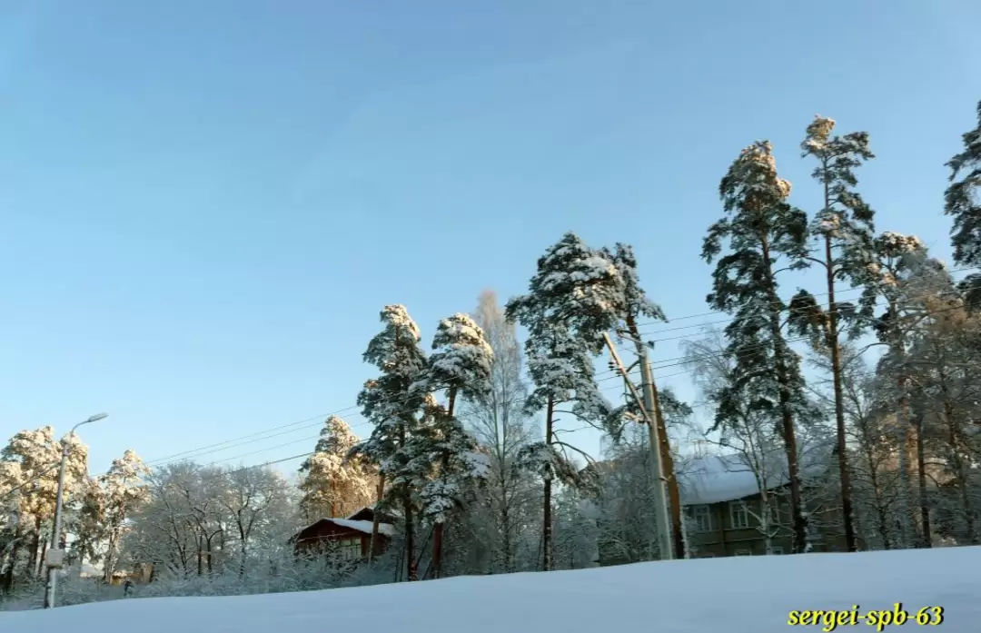 Зимняя дорога