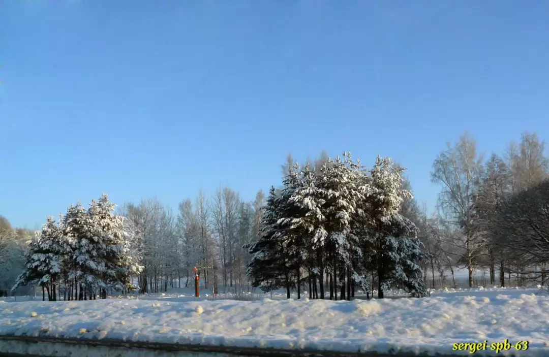 Зимняя дорога