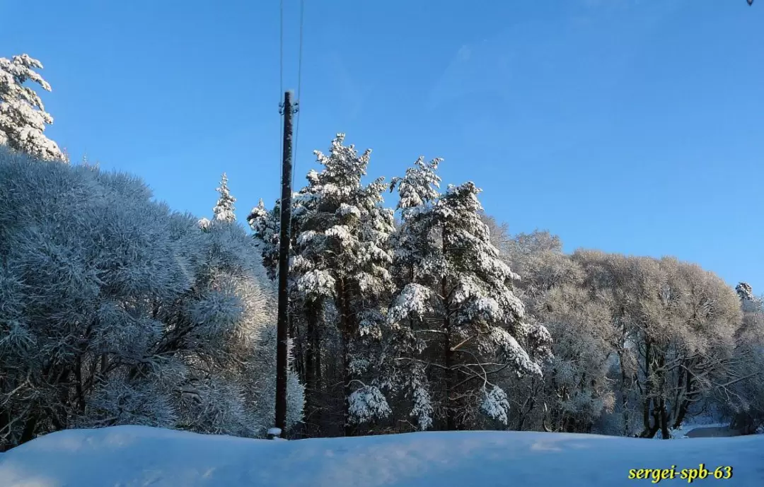 Зимняя дорога