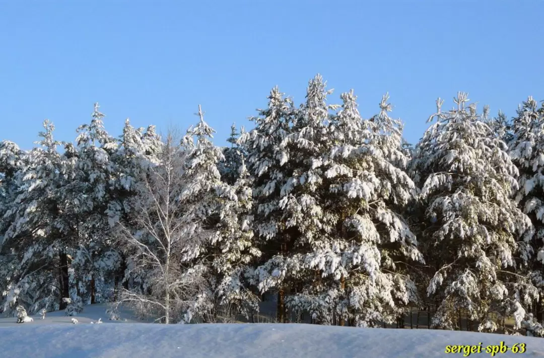 Зимняя дорога