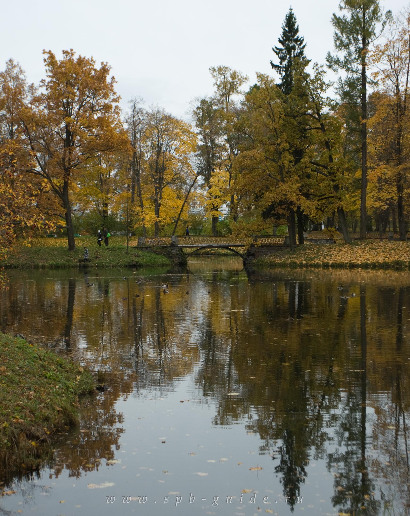 Пруды Озерки