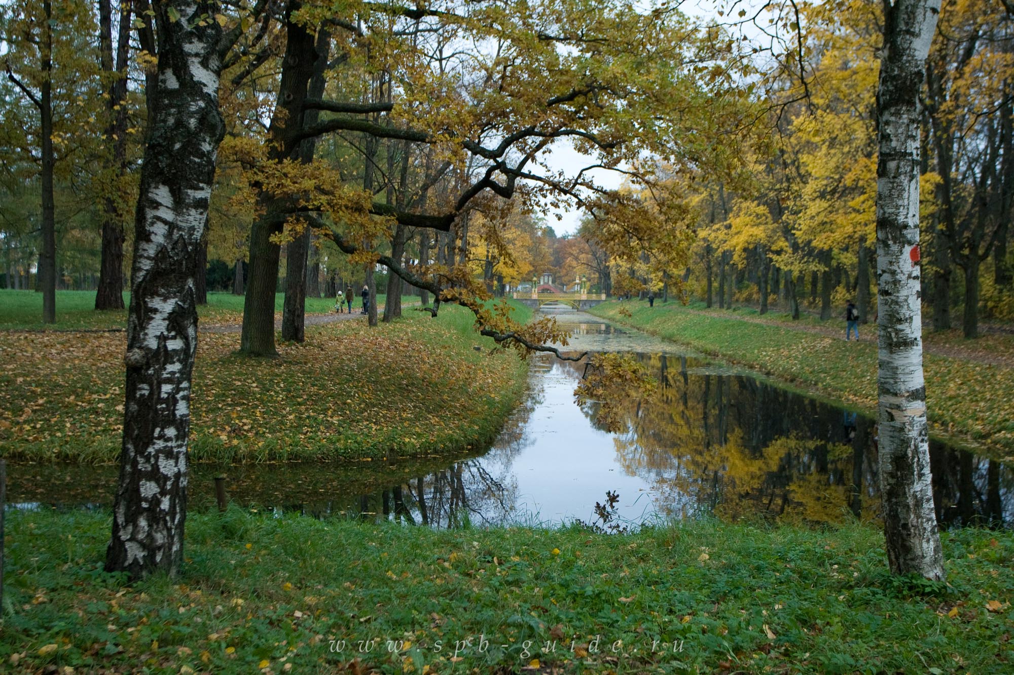 Золотая осень в Царском Селе