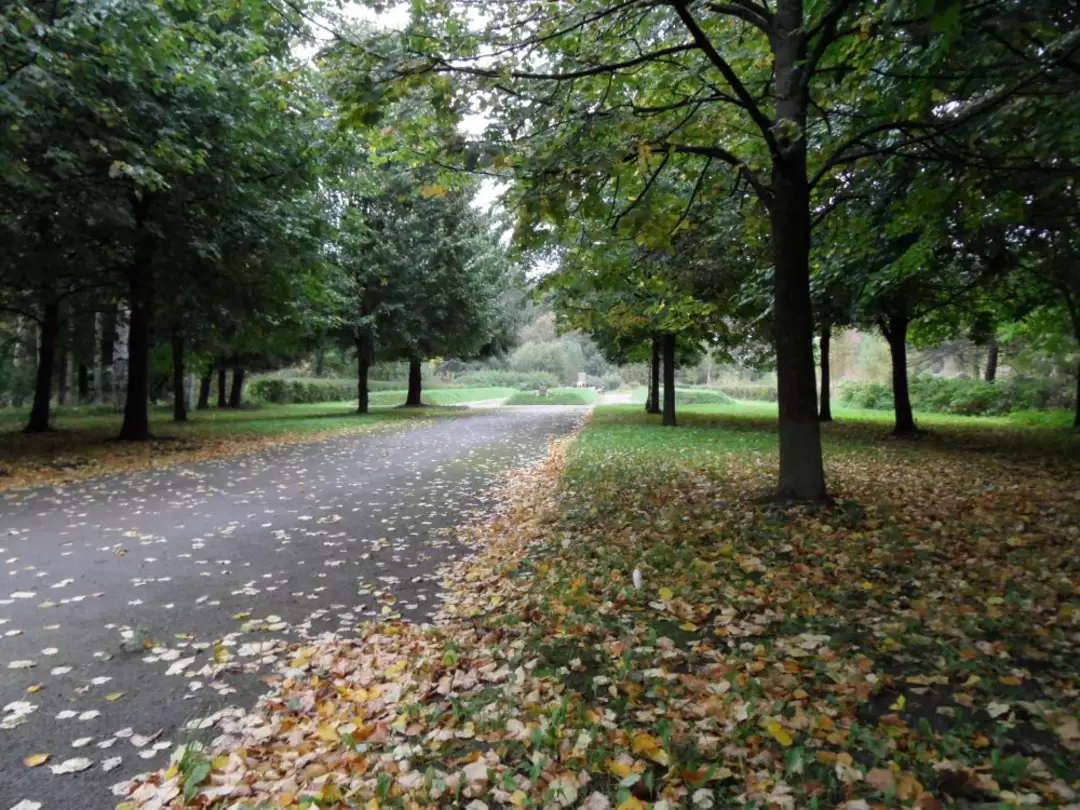 Город Ломоносов, фото 6