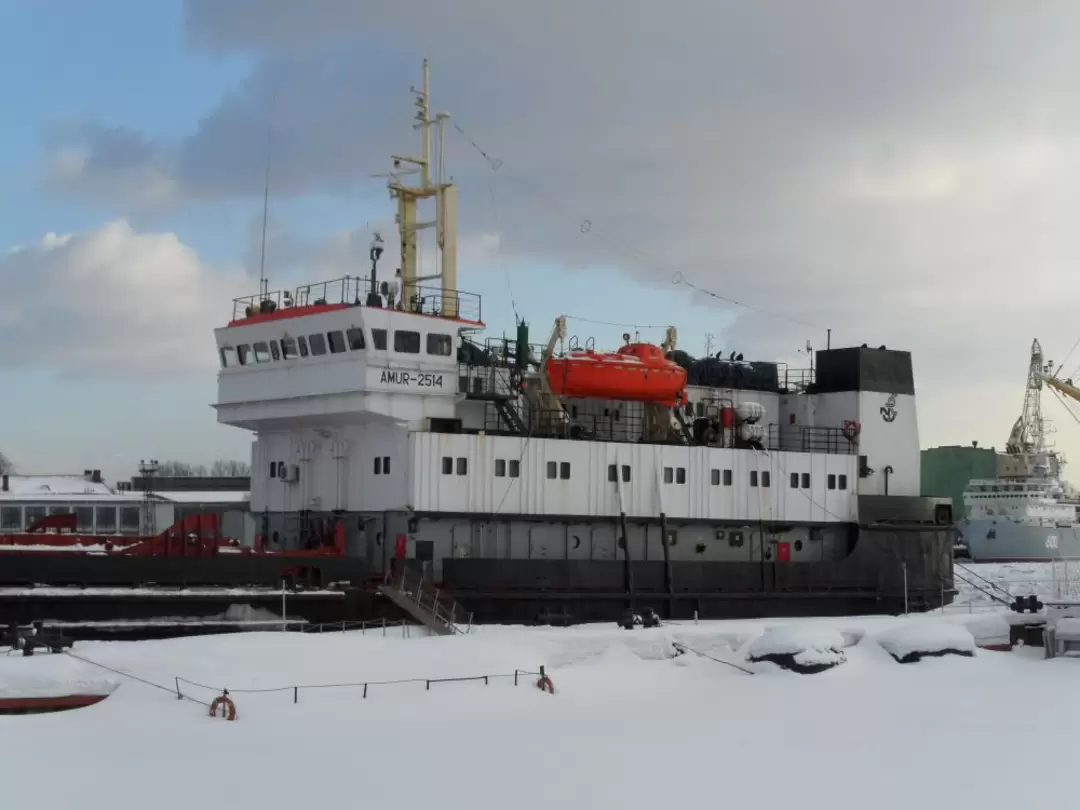 Сухогруз «Амур-2514»