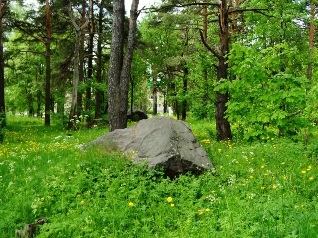 Парк около кирхи