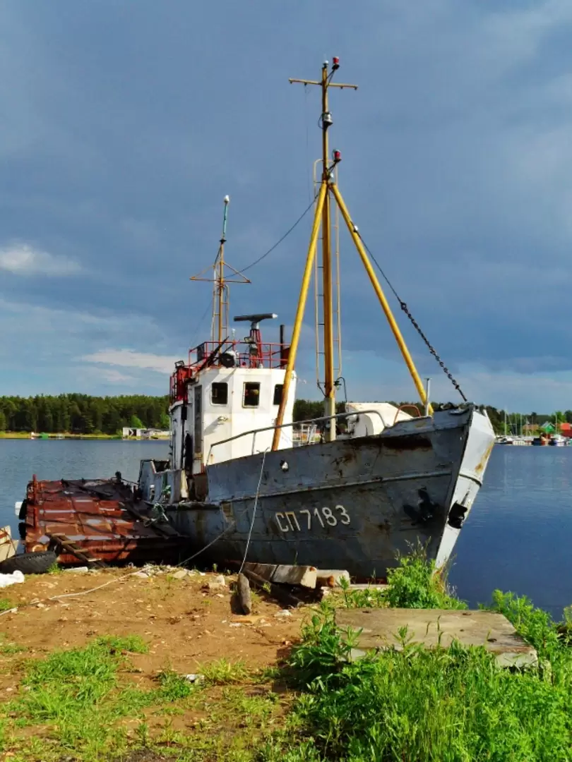 Сейнер