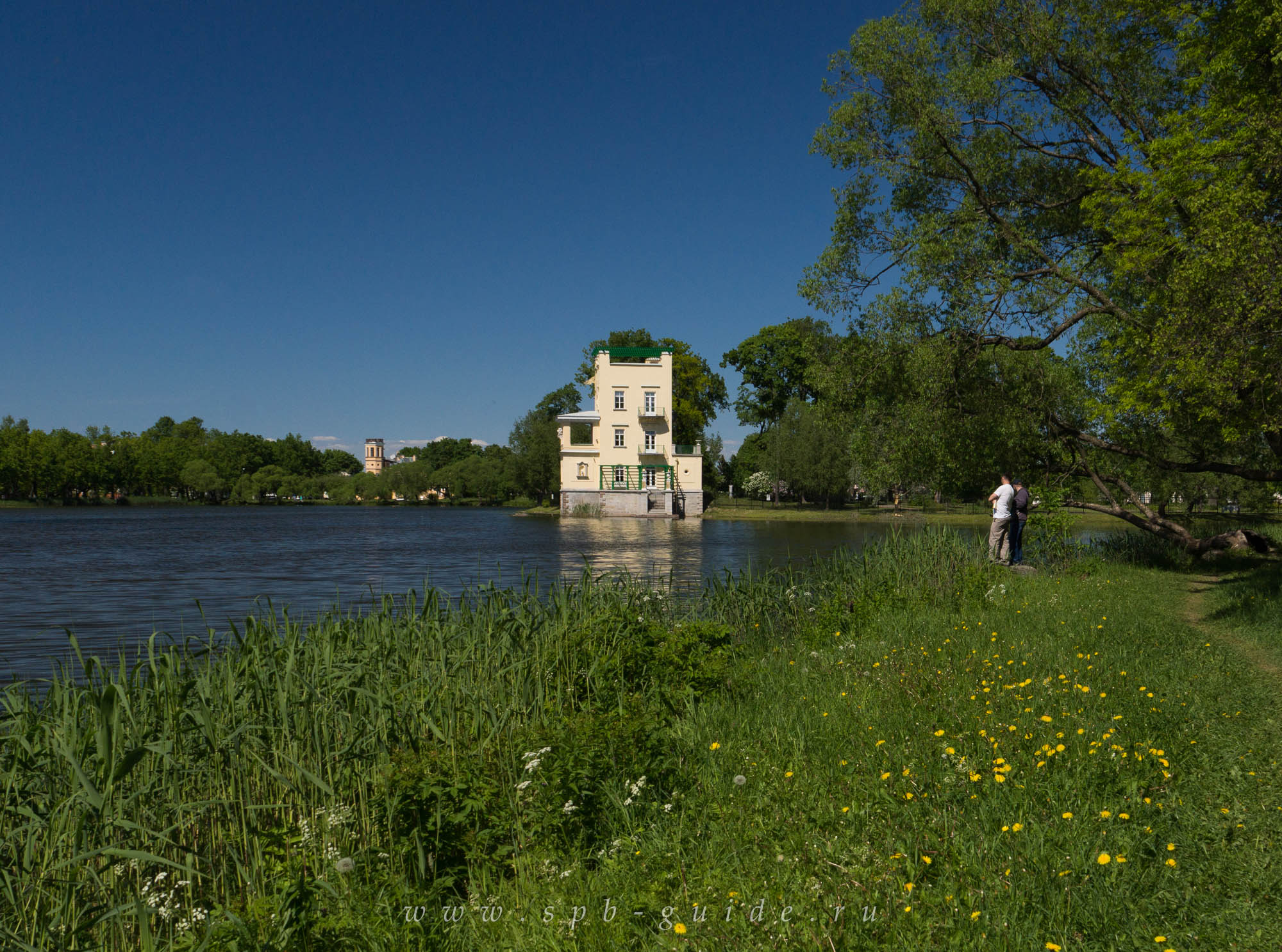 Колонистский парк в Петергофе