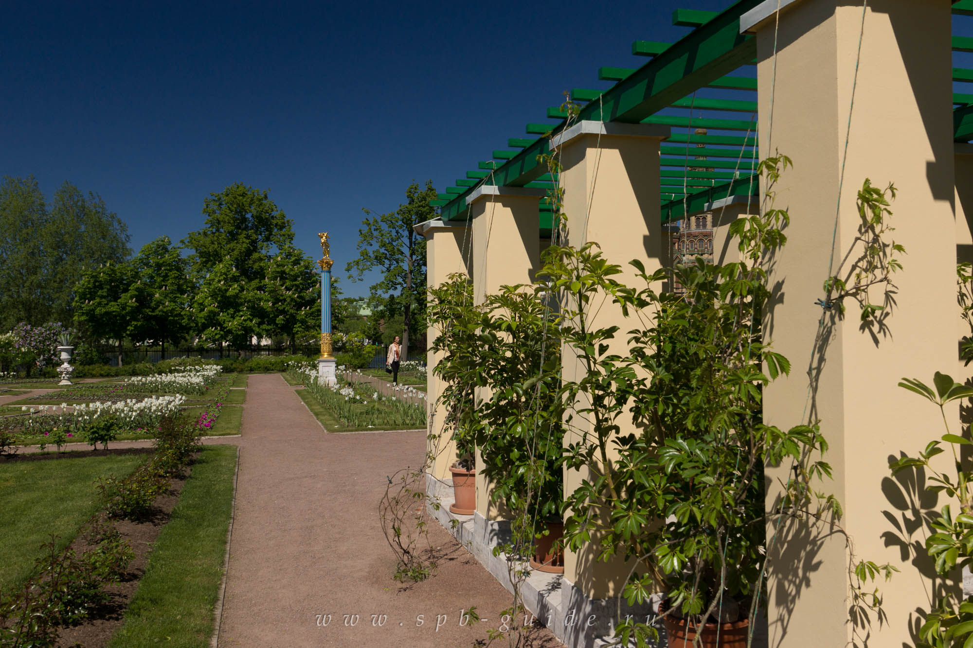 Пергола, увитая плющом