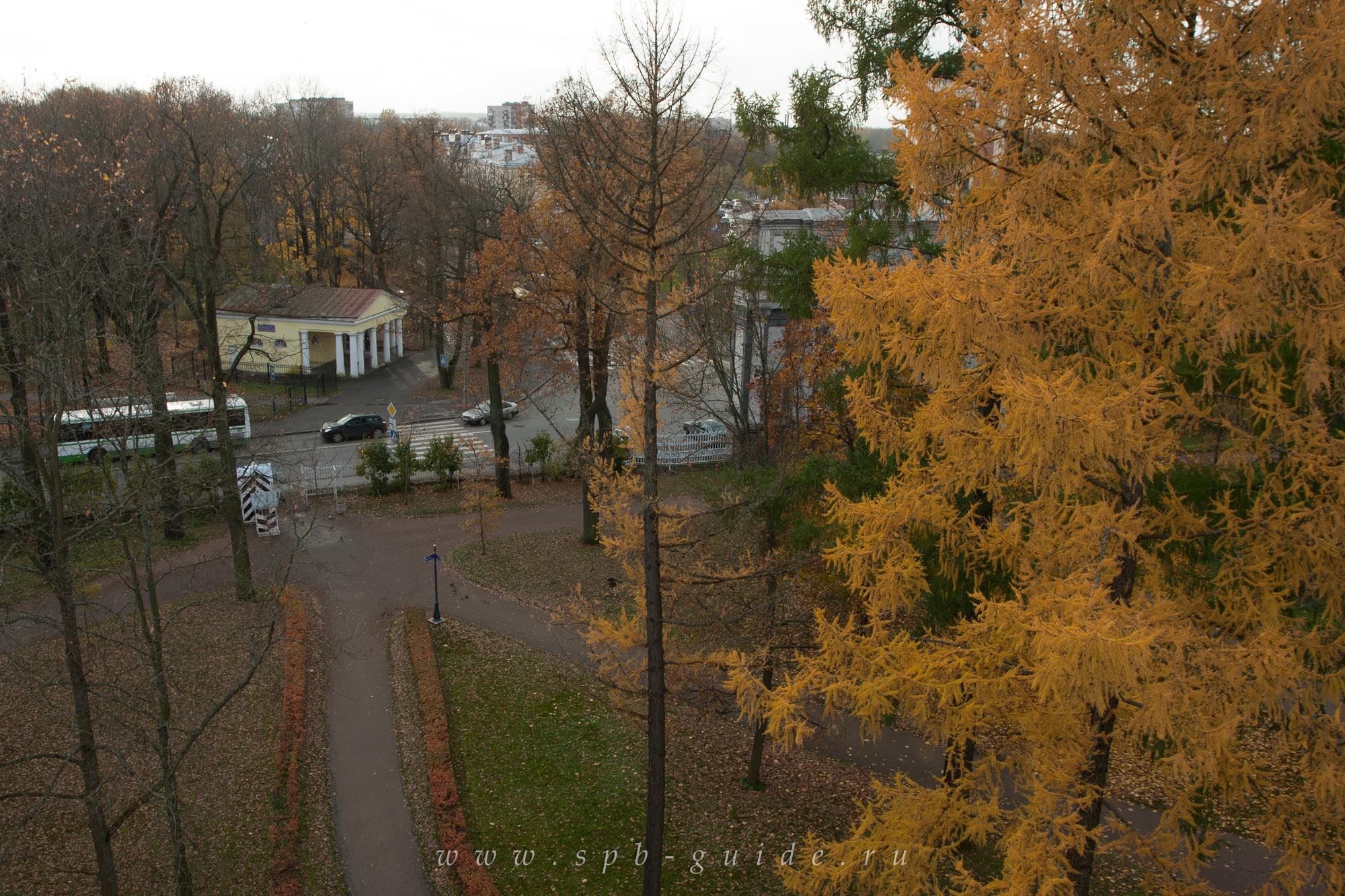 Вид с Башни-Руины, Царское Село