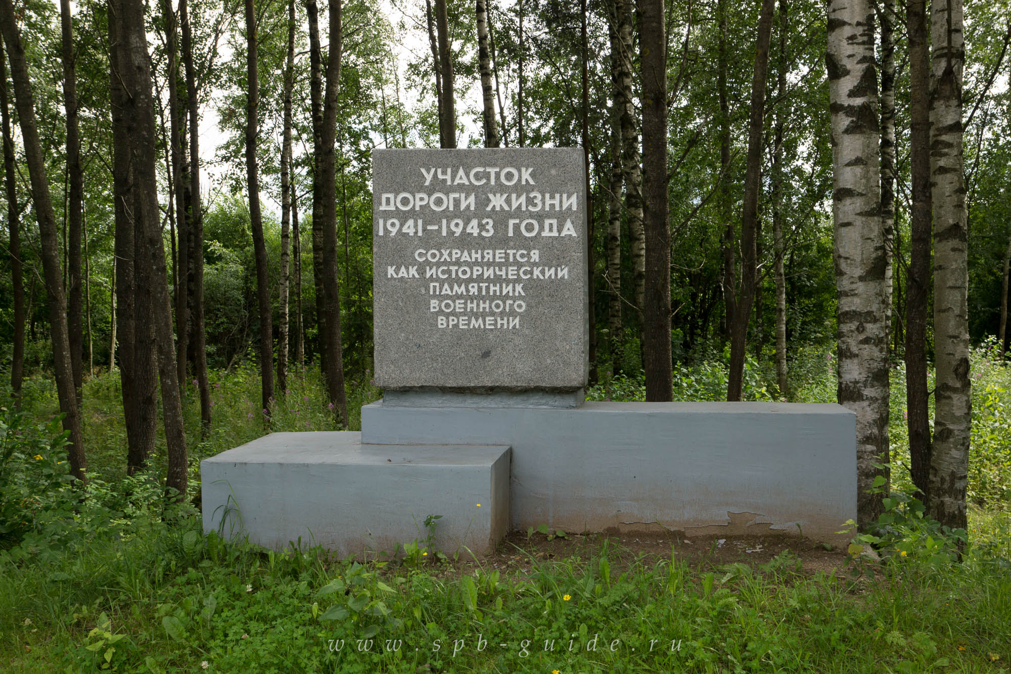 Сохранившийся участок Дороги жизни