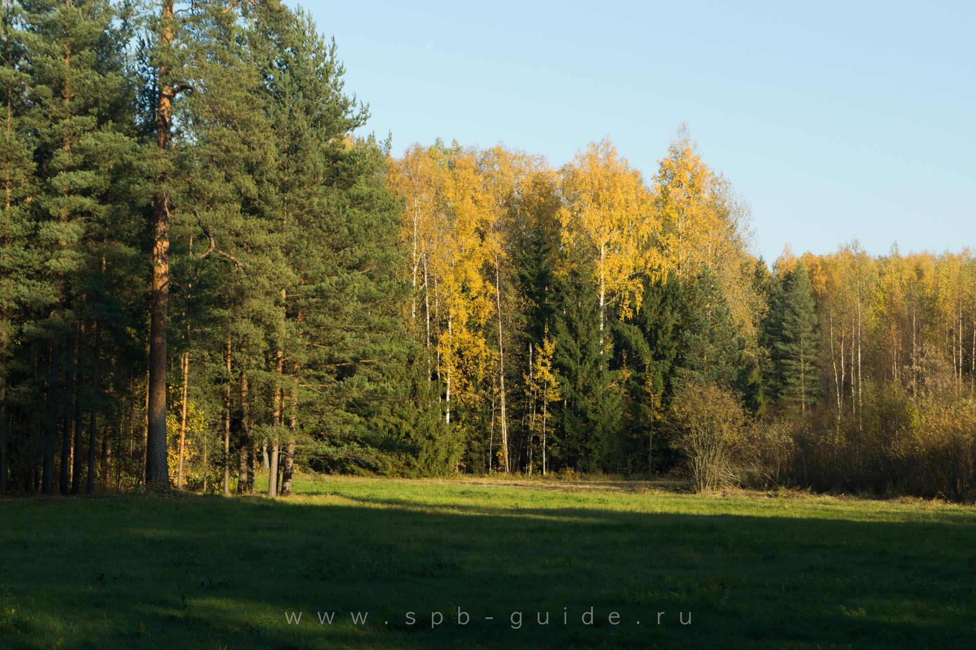 Район «Белая Берёза»