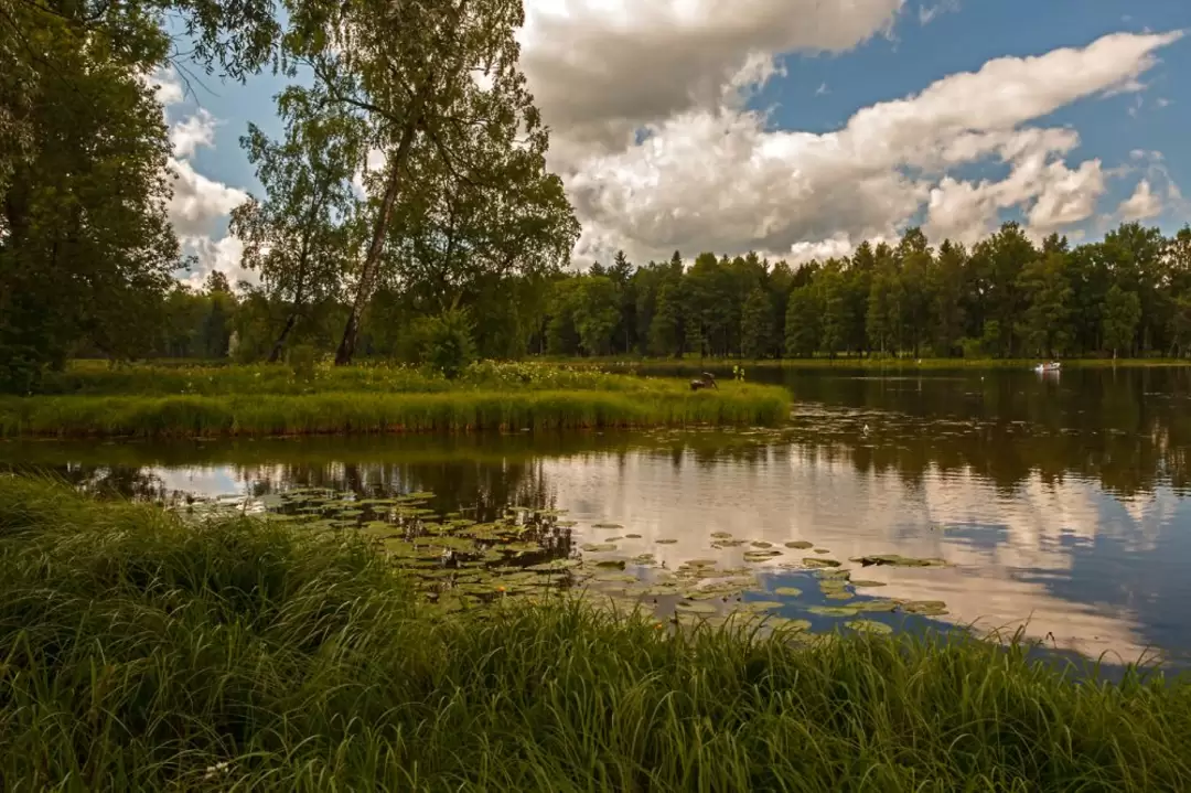 Гатчинский парк