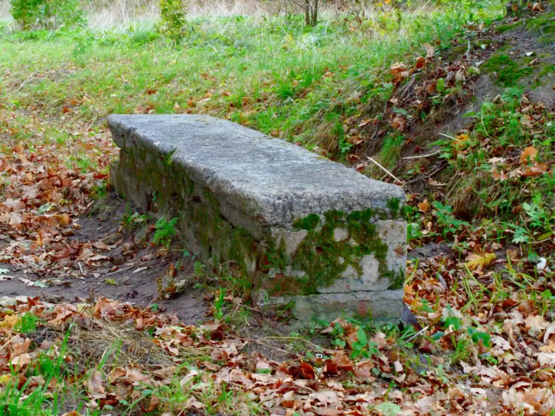 Ораниенбаум. Английская аллея. Каменная скамья
