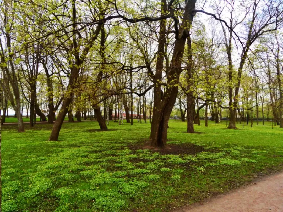 Петровский парк