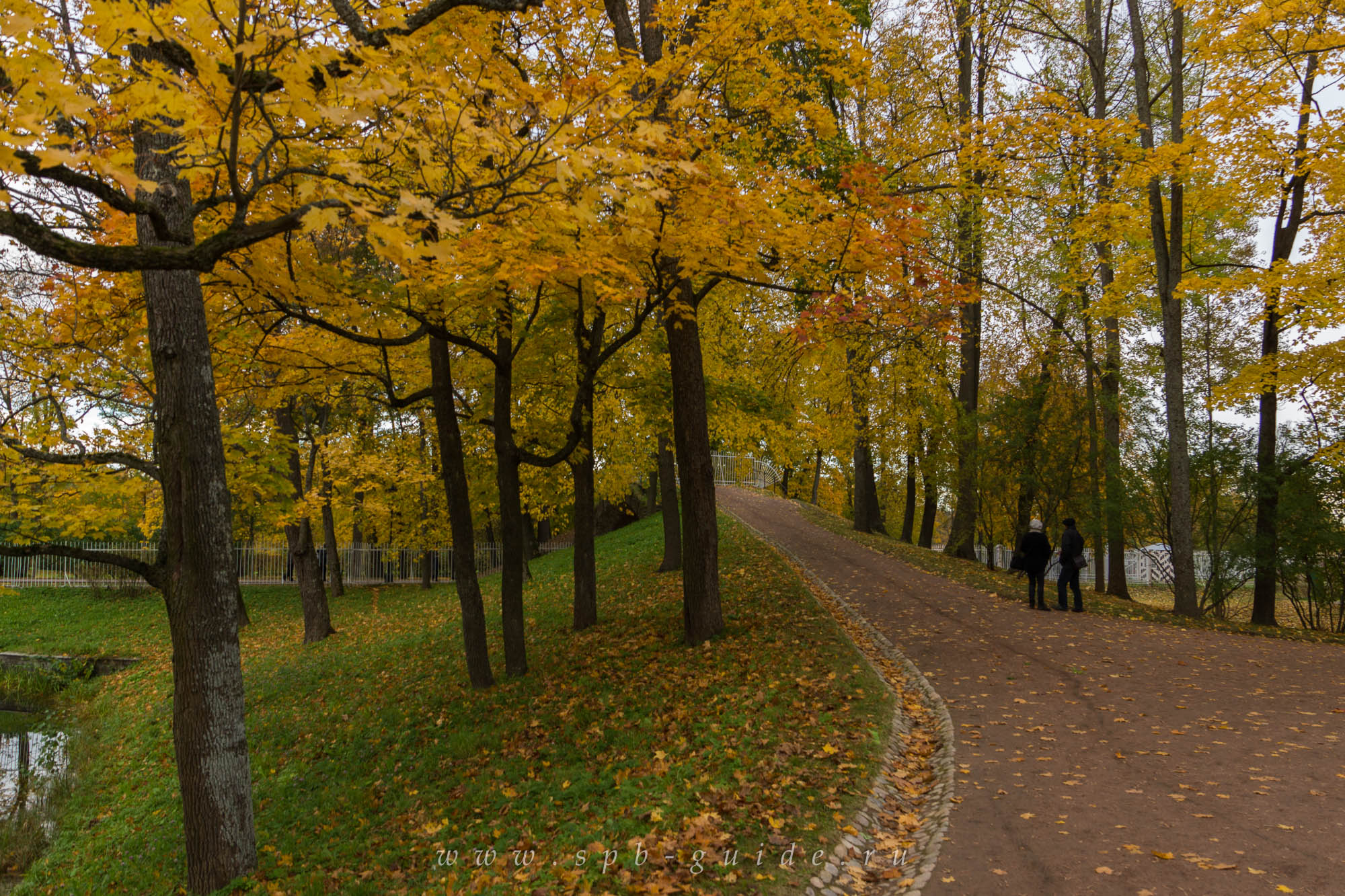 Золотая осень в Царском селе, фото 70
