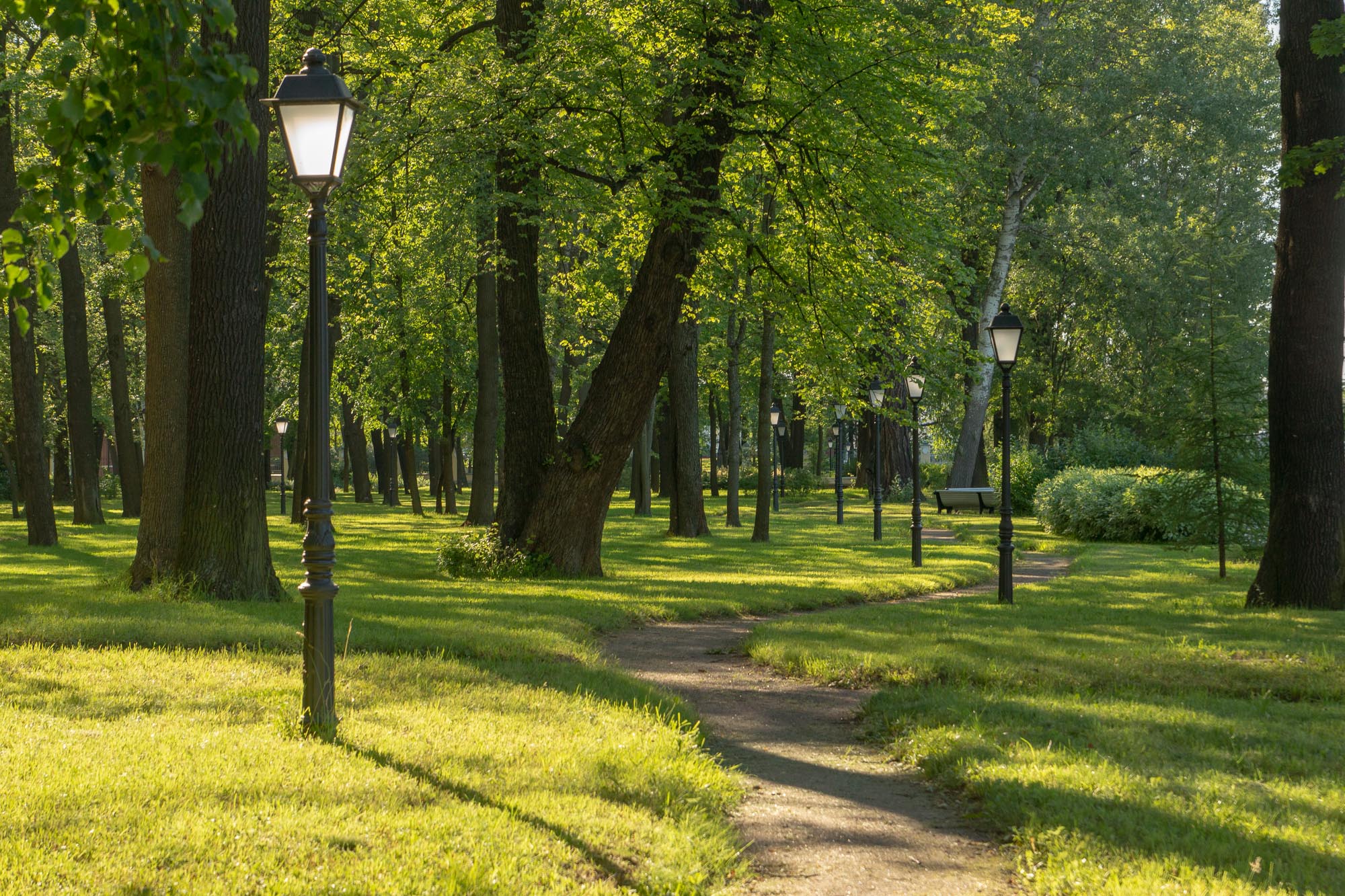 Сад Каменноостровского дворца