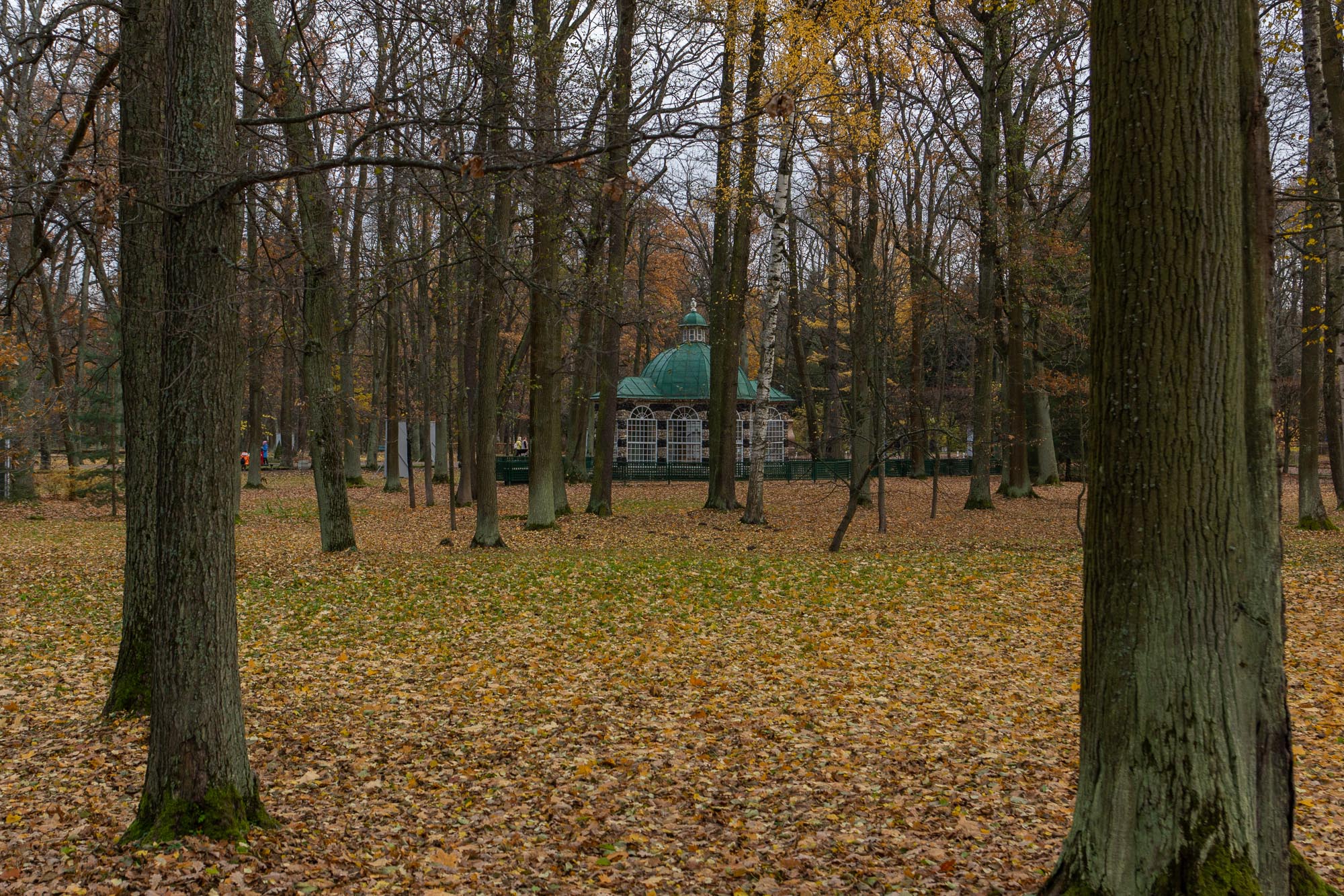 Павильон «Вольер» и осенний Петергоф