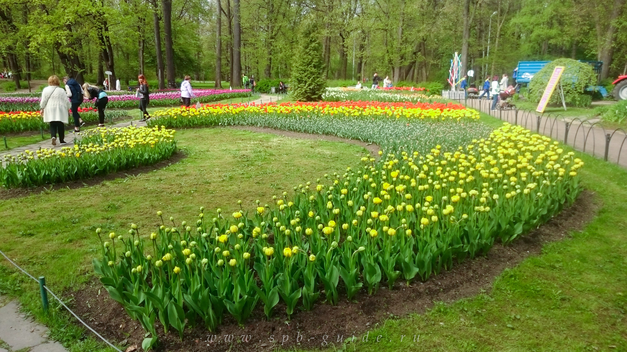Фестиваль тюльпанов на Елагином острове, фото 65