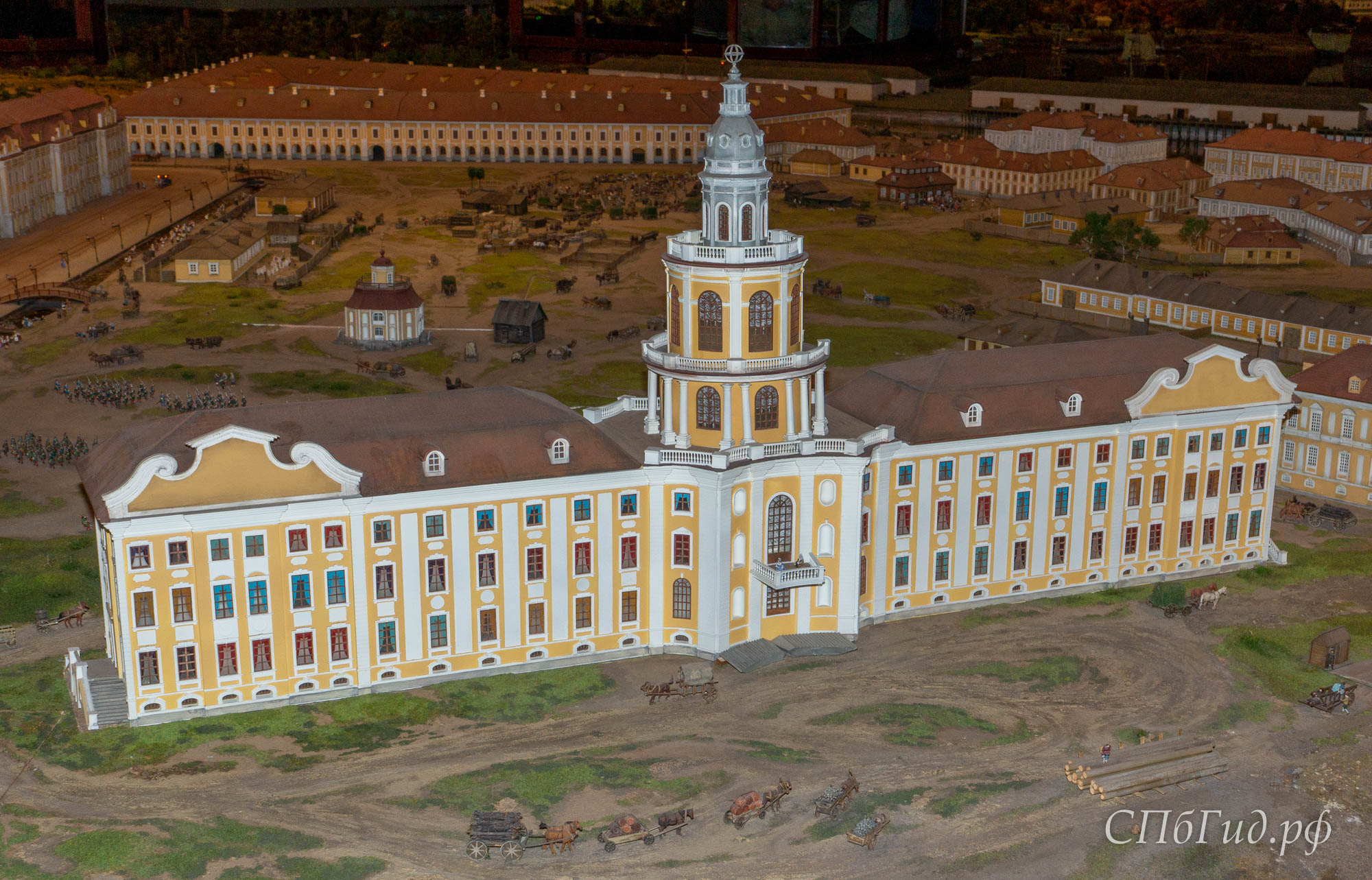 Кунсткамера в музее «Петровская Акватория»