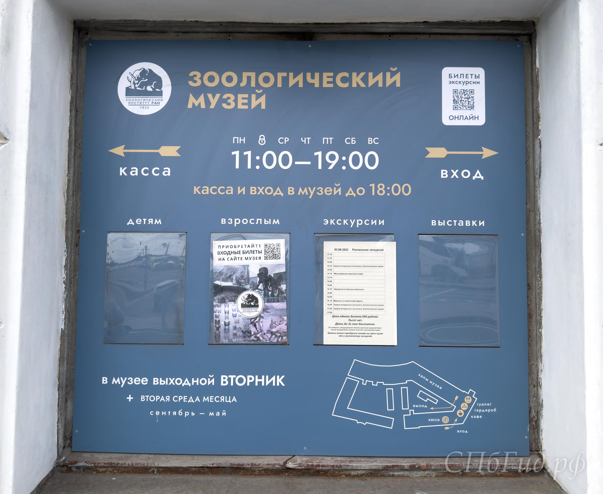 Зоологический музей, режим работы