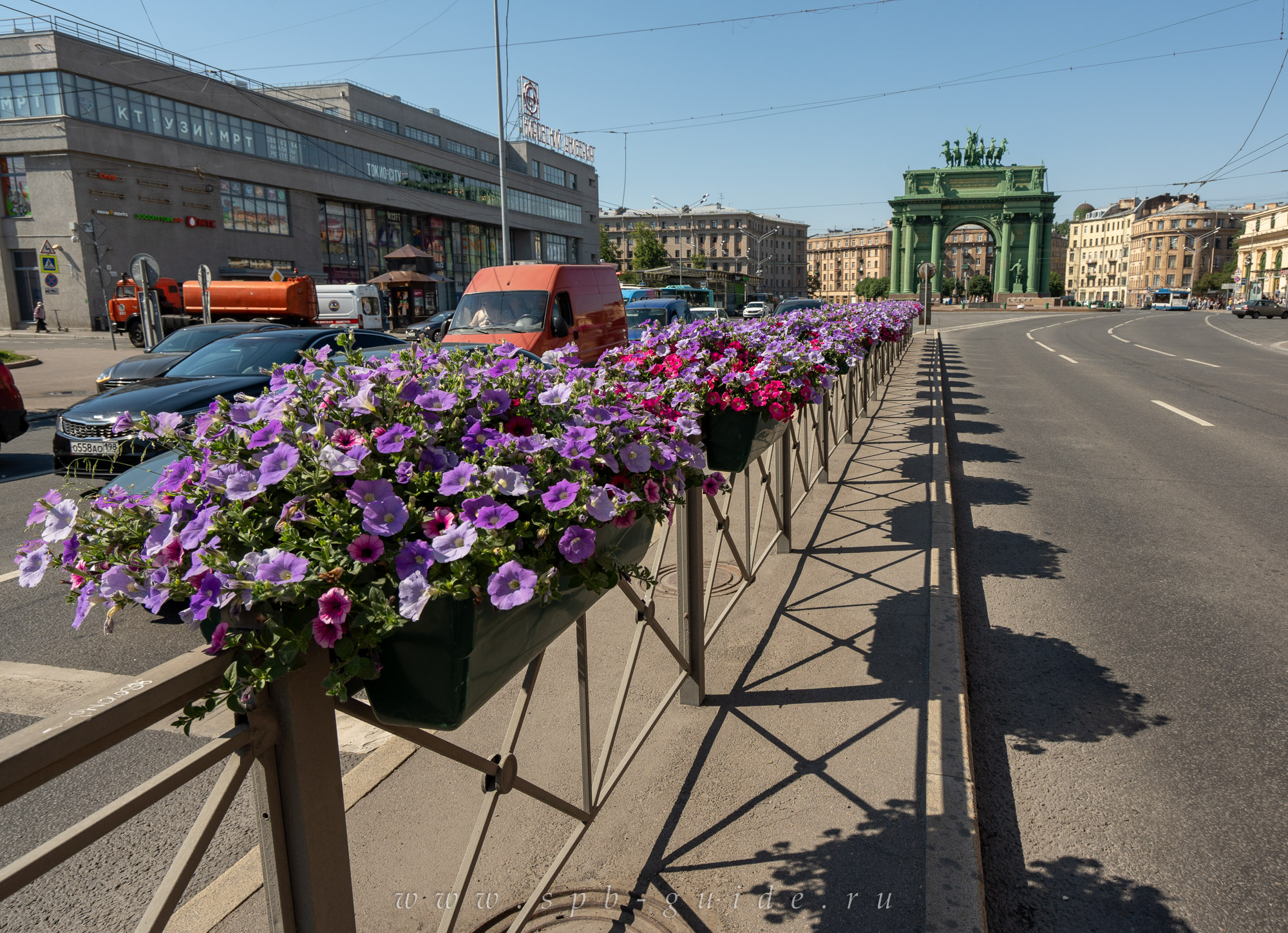 Петунии в вазонах на проспекте Стачек