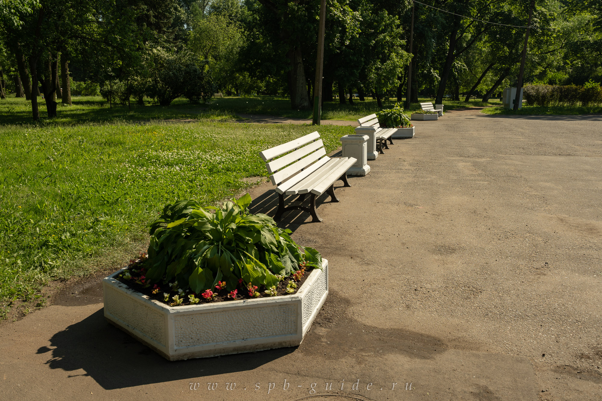 Скамейки и клумбы у летнего театра