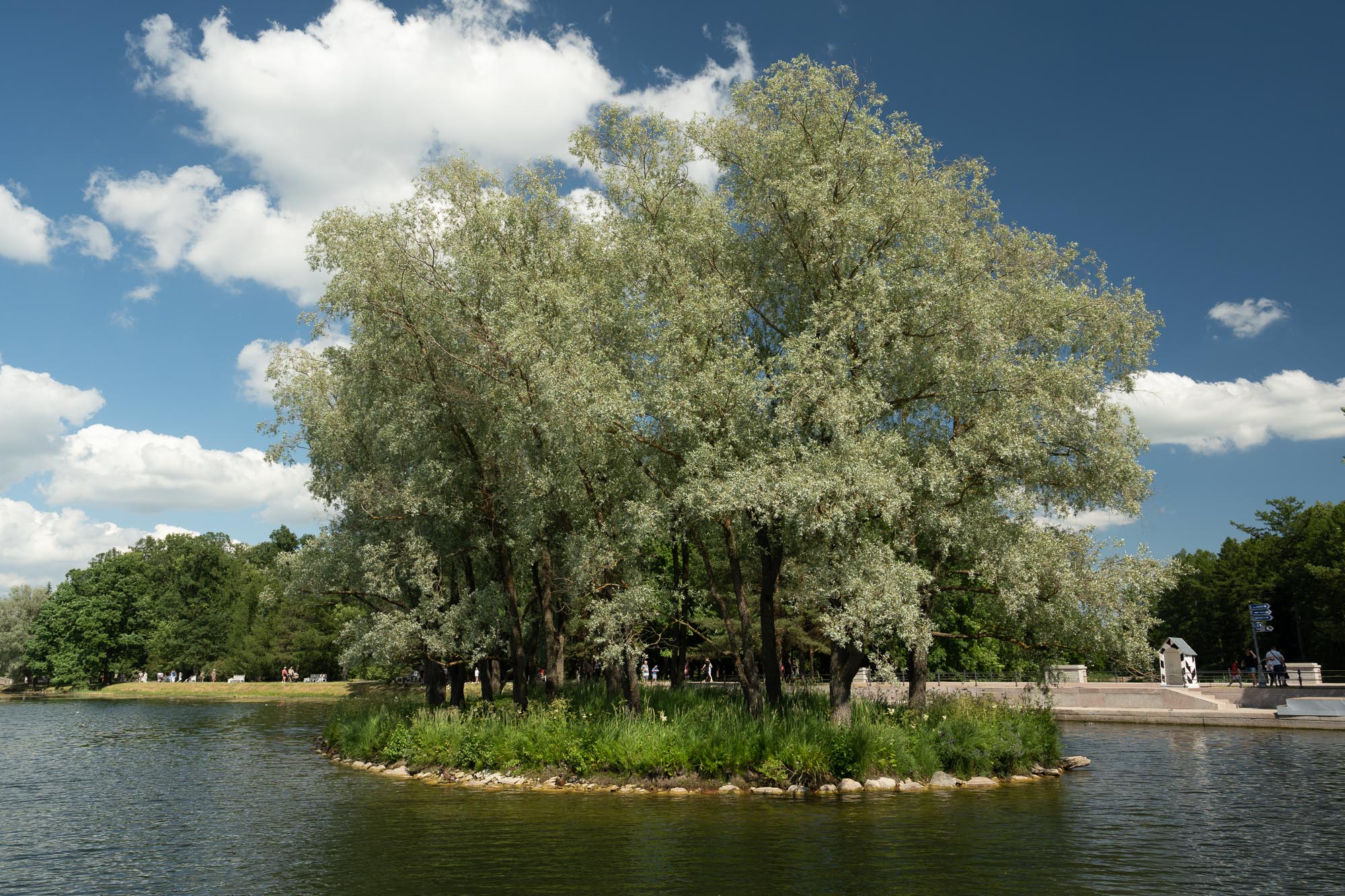 Кроличий остров, Царское Село