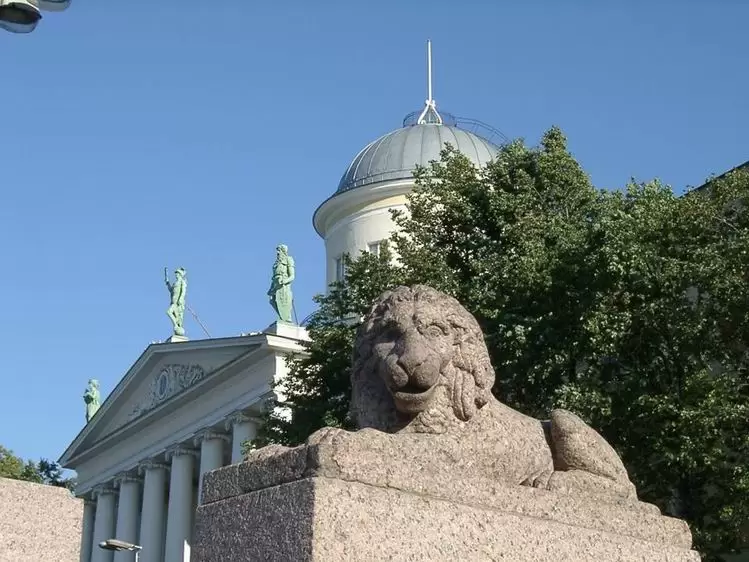 Львы на набережной Макарова, фото 4