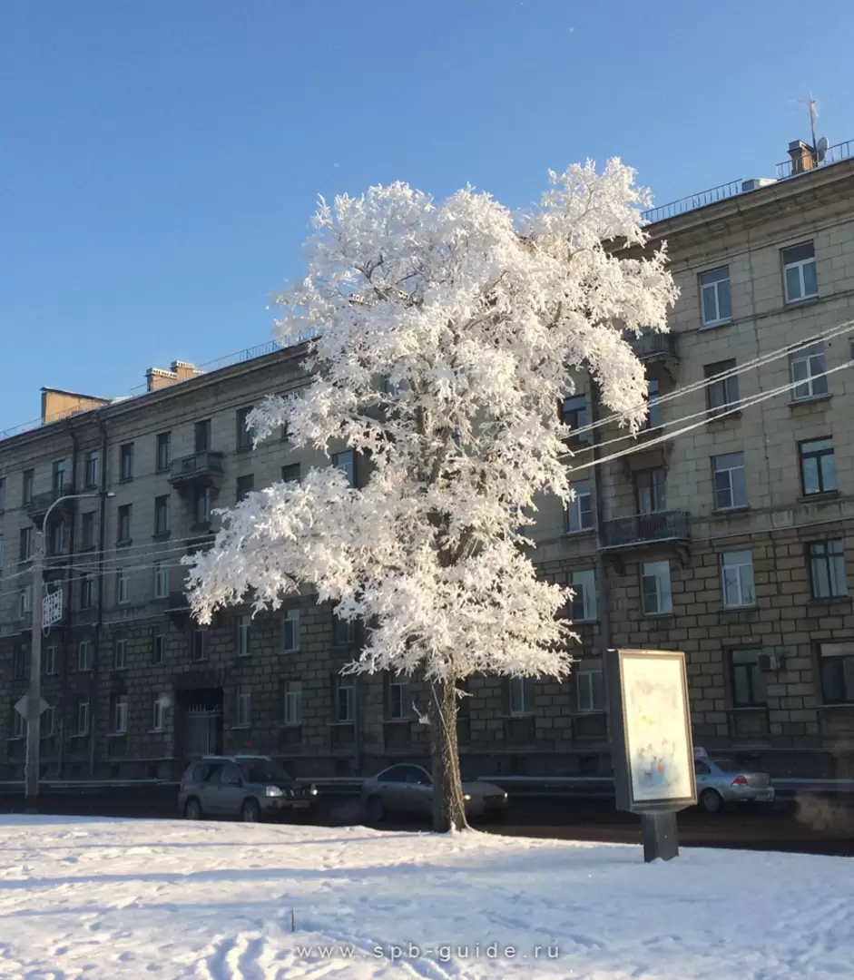 Набережная Адмирала Лазарева зимой