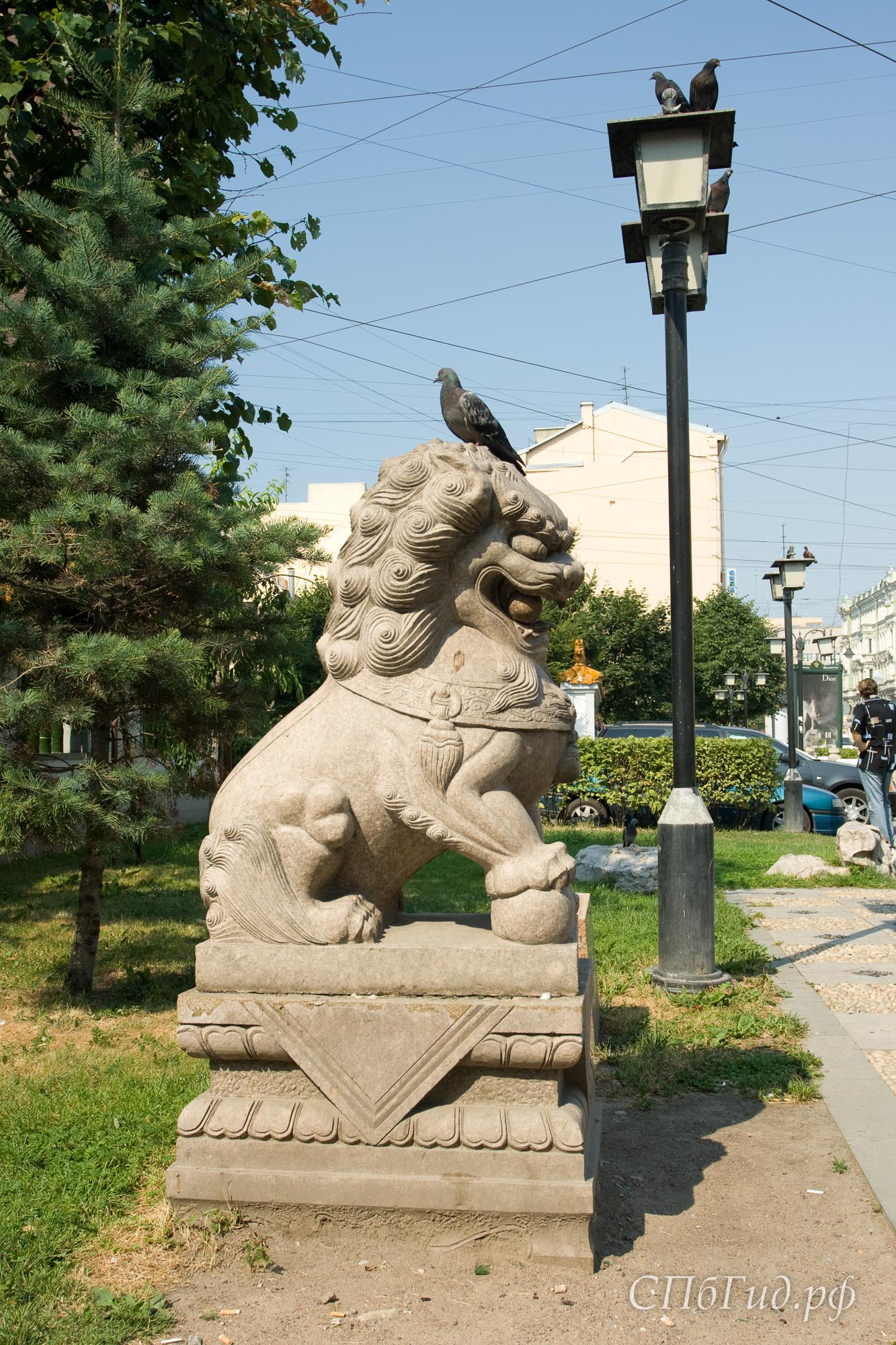Львы в саду Дружбы