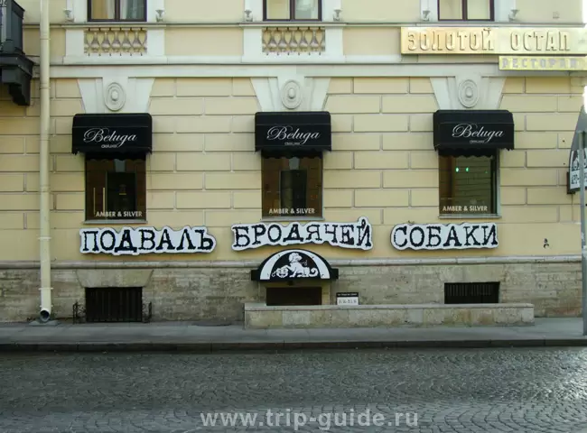Арт кафе «Подвал бродячей собаки»