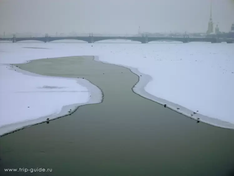 Вид на Неву с Литейного моста