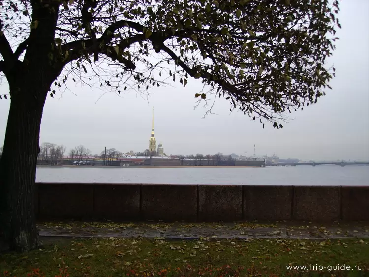 Вид на Петропавловскую крепость