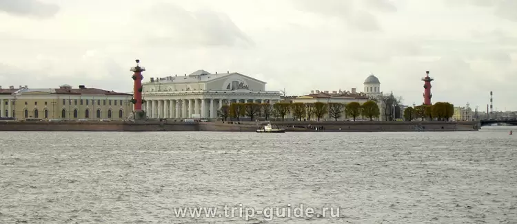 Вид на стрелку Васильевского острова