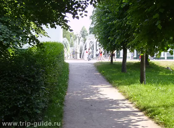 Аллеи Петродворца