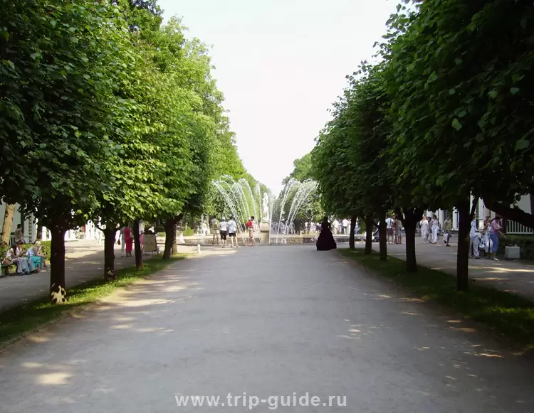 Аллея