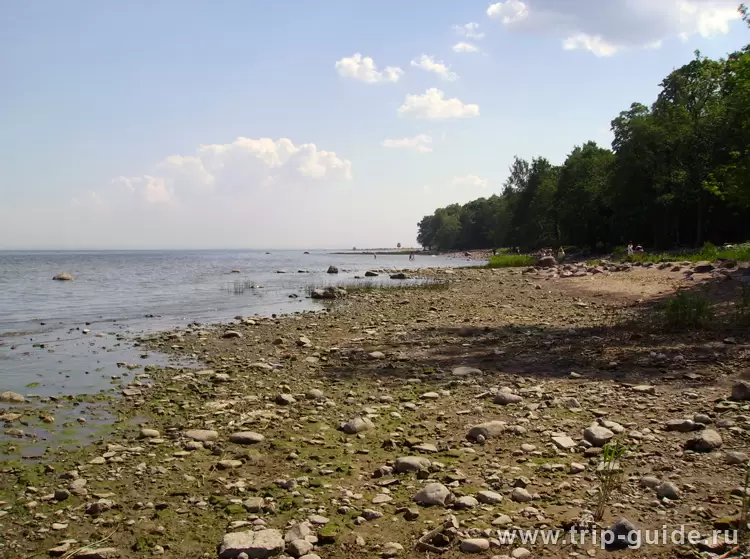 Петергоф, берег Финского залива в Петергофе