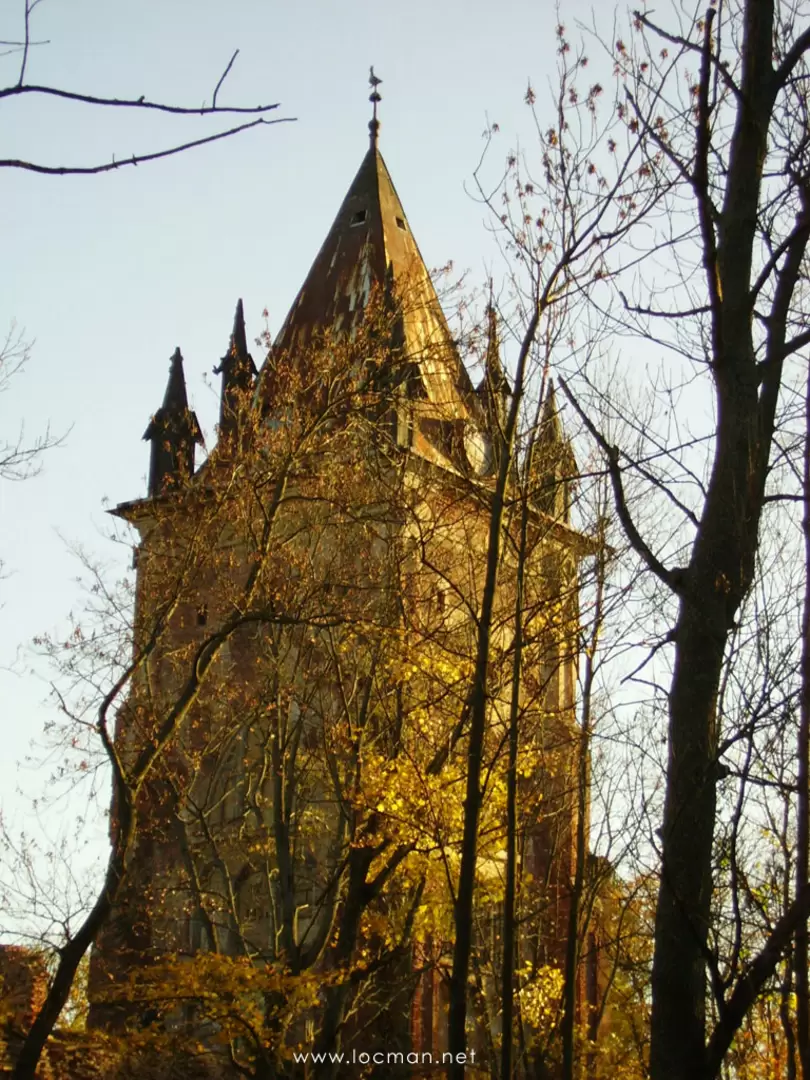 Царское Село, Шапель