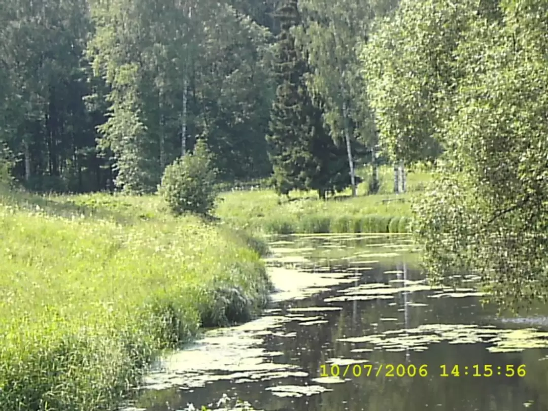 Павловский парк