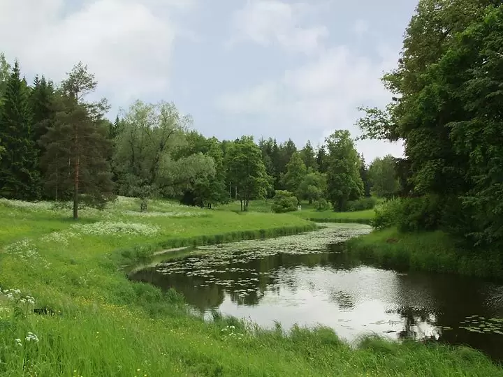 Санкт-Петербург, Павловск