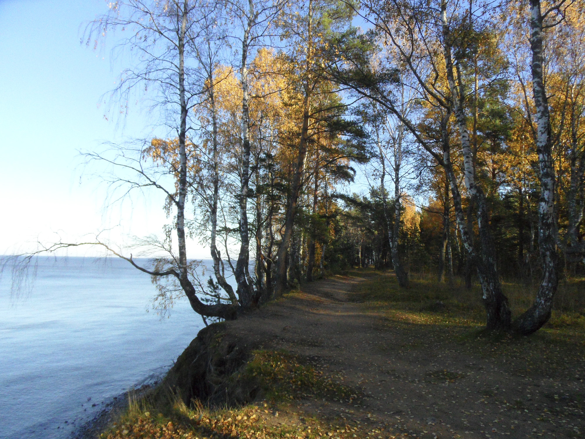 Форт «Красная Горка», берег Финского залива