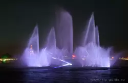 Фонтаны на Неве Фонтаны на Неве