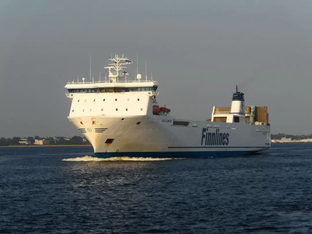 Ролкер «Birka Carrier»