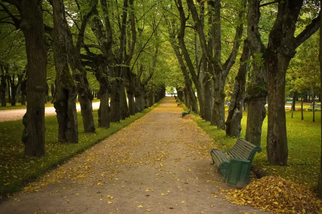 Аллея ко дворцу
