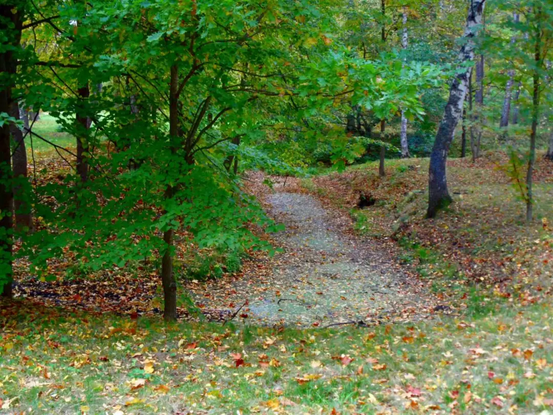 Ораниенбаум. Парк Швейцария. Тропинка к Дворцу Петра III