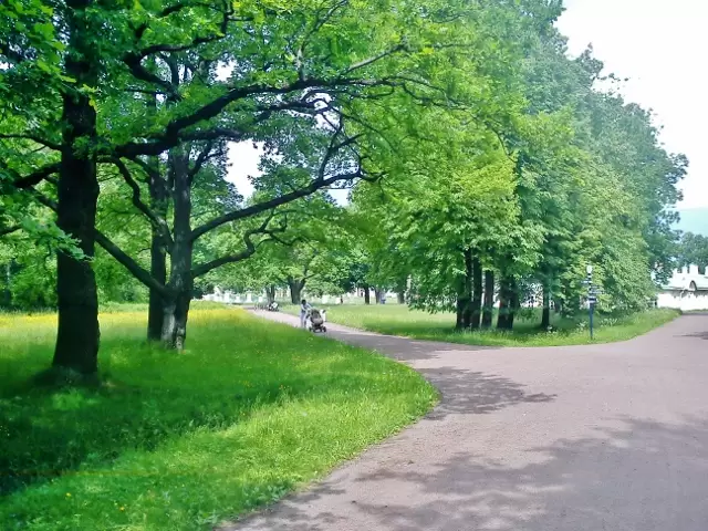 Верхний парк